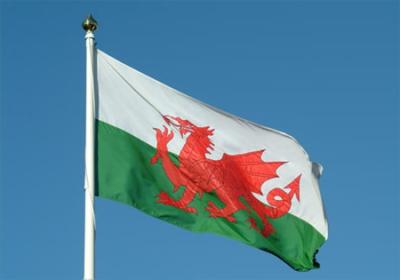 The Welsh Flag